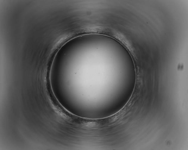 X0000102280058200807251408