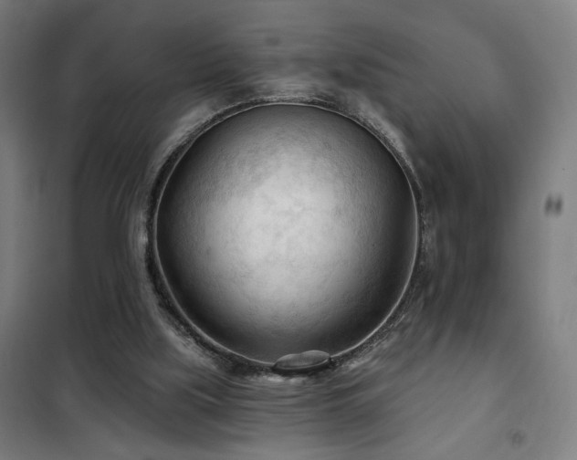 X0000102280059200807251408