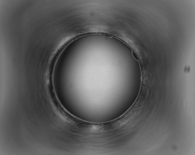 X0000102280060200807251408