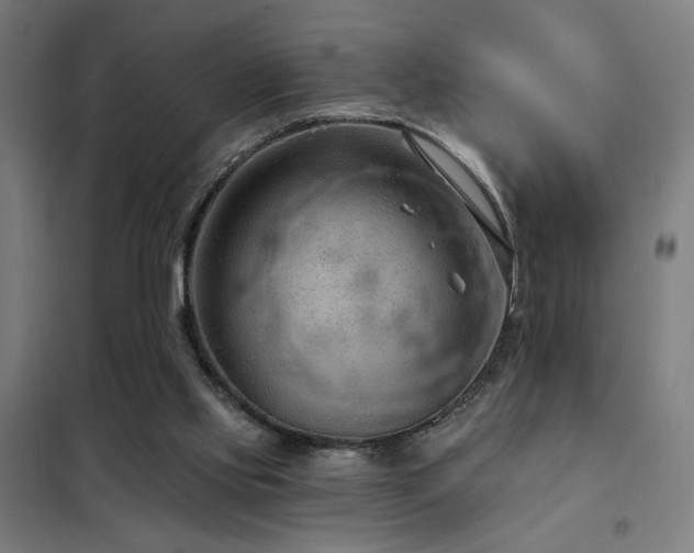 X0000102280061200807251408