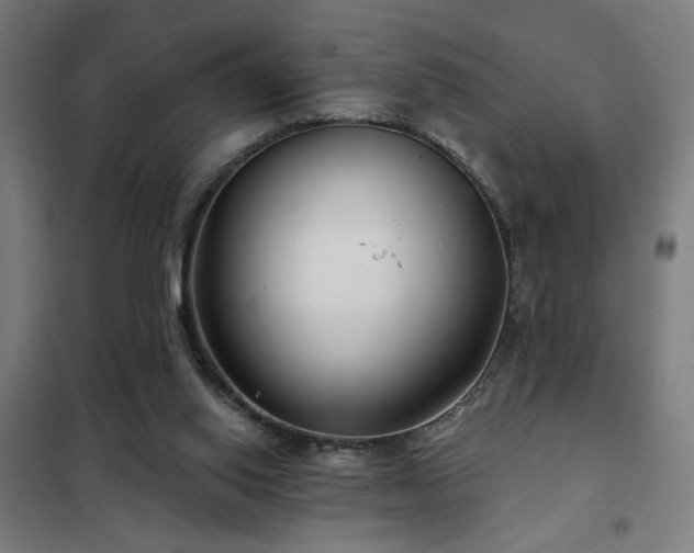 X0000102280062200807251408