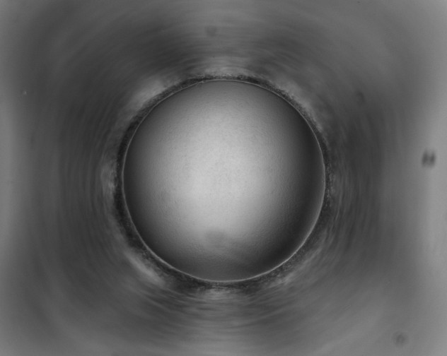 X0000102280063200807251408