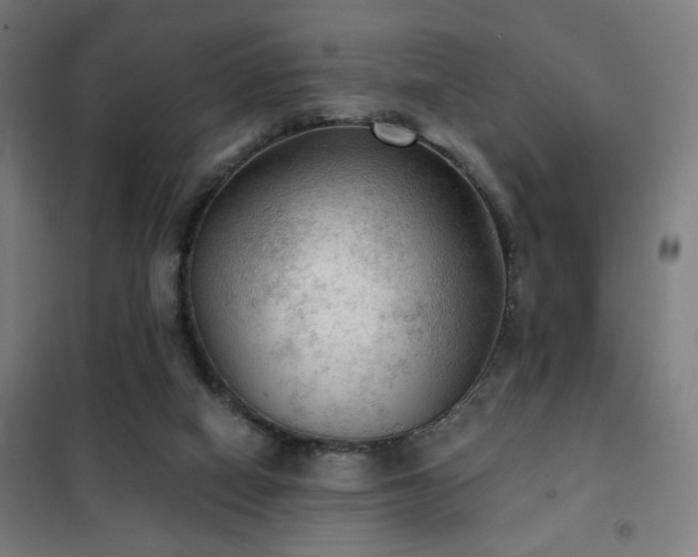 X0000102280066200807251408