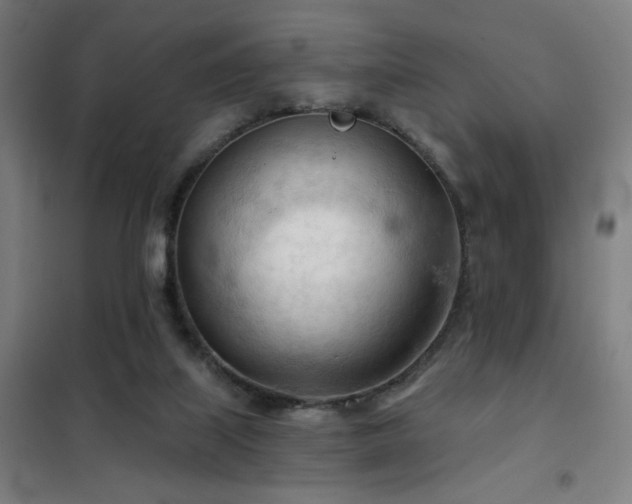 X0000102280067200807251408
