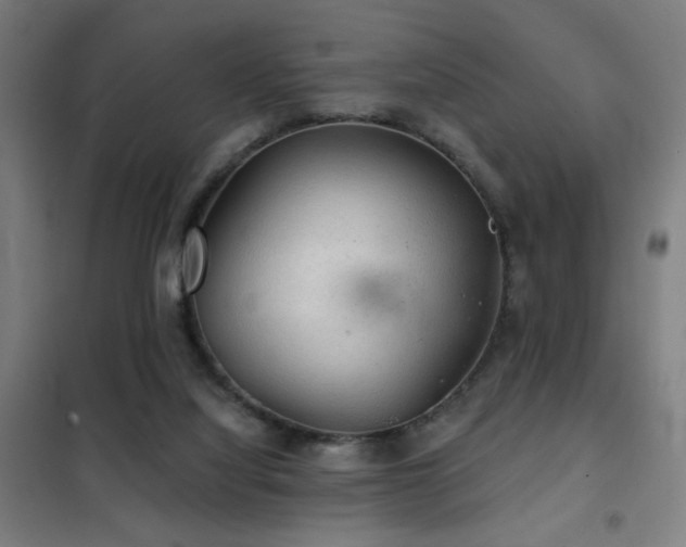 X0000102280068200807251408