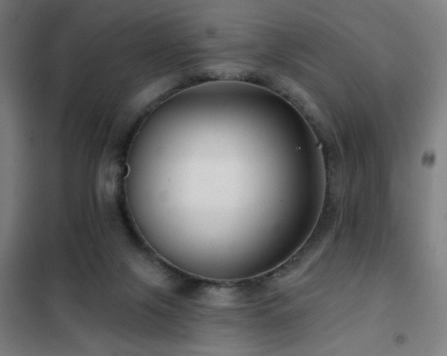 X0000102280071200807251408