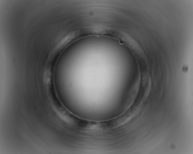 X0000102280072200807251408