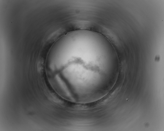 X0000102280073200807251408