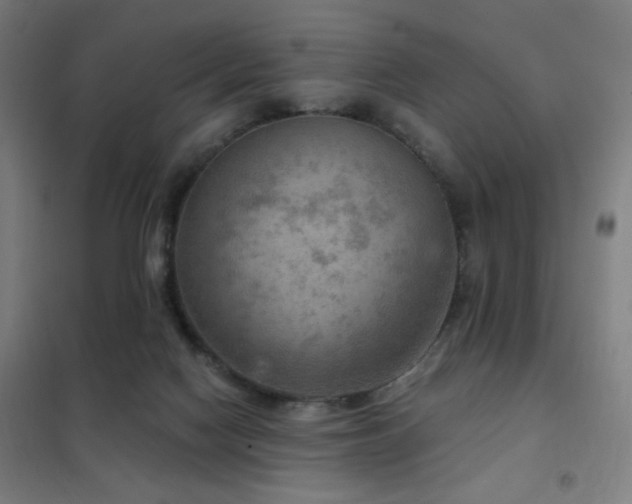 X0000102280074200807251408
