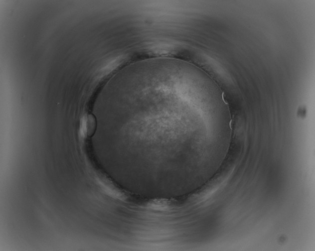 X0000102280076200807251408