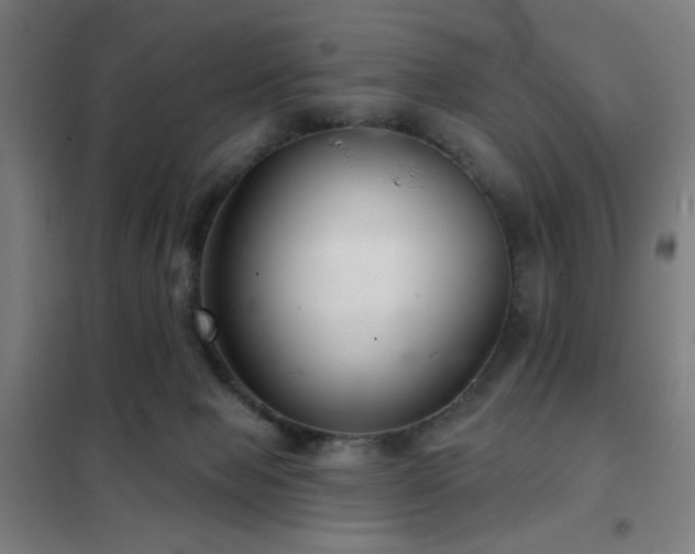 X0000102280077200807251408