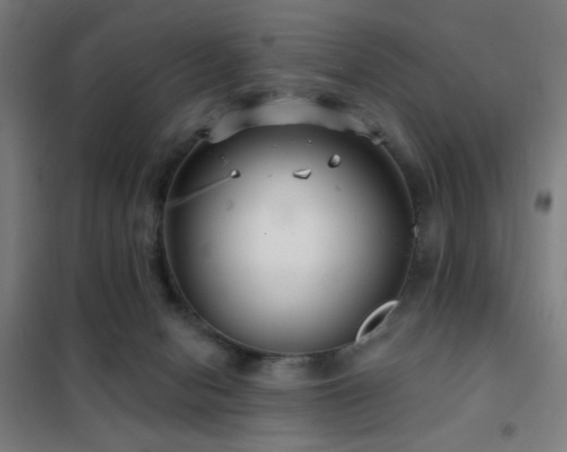 X0000102280078200807251408