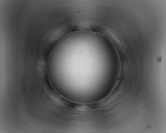 X0000102280079200807251408