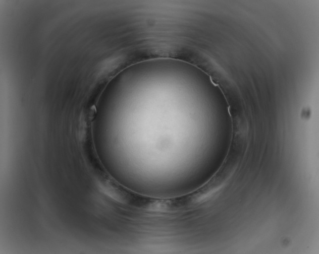 X0000102280080200807251408