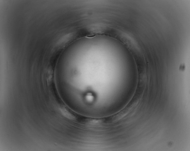 X0000102280081200807251408