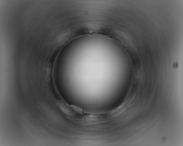 X0000102280082200807251408