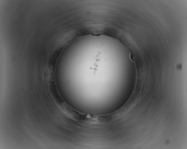 X0000102280083200807251408
