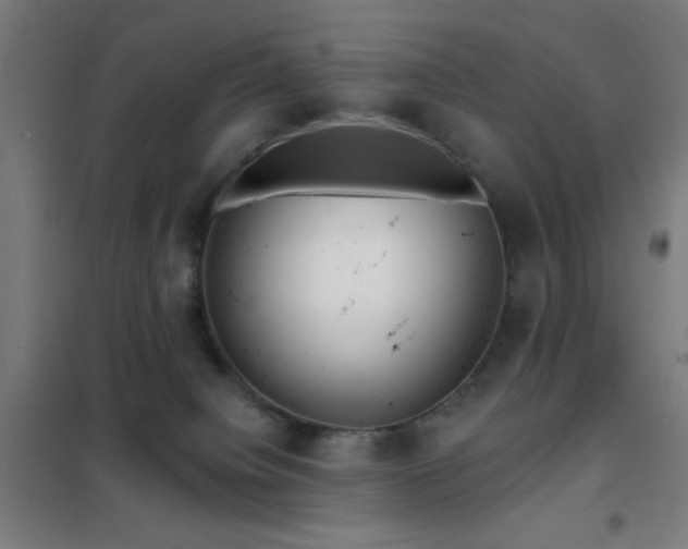 X0000102280084200807251408