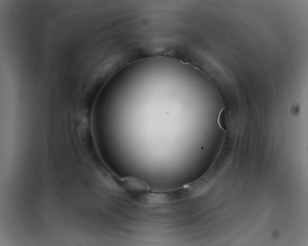 X0000102280085200807251408
