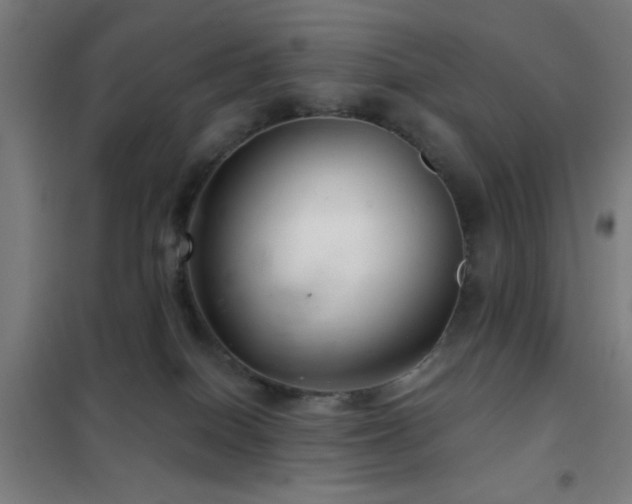 X0000102280086200807251408