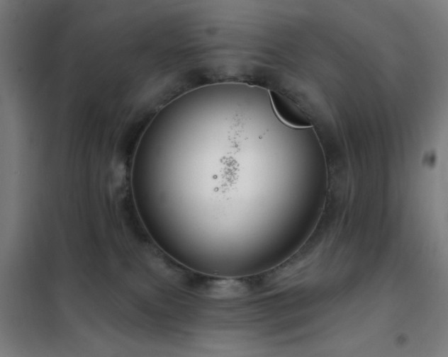 X0000102280087200807251408
