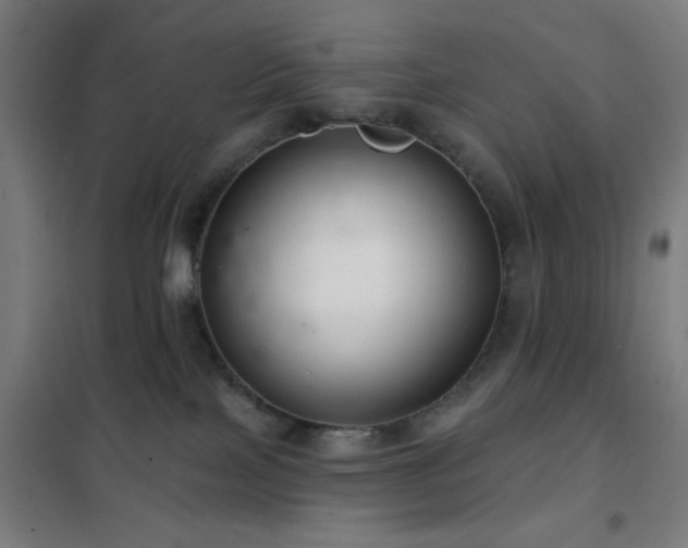 X0000102280089200807251408