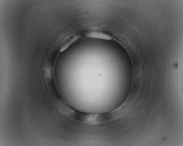 X0000102280090200807251408