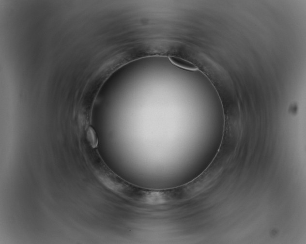 X0000102280091200807251408