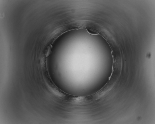 X0000102280092200807251408