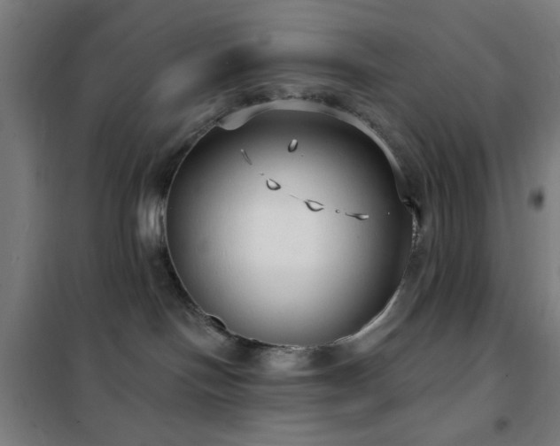 X0000102280094200807251408