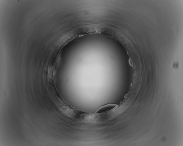 X0000102280096200807251408