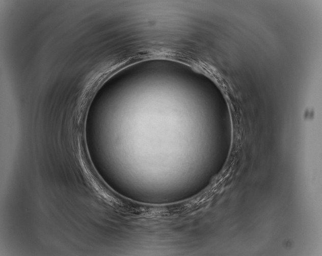 X0000102280097200807251408