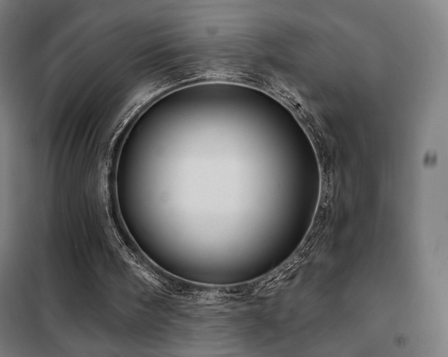 X0000102280098200807251408