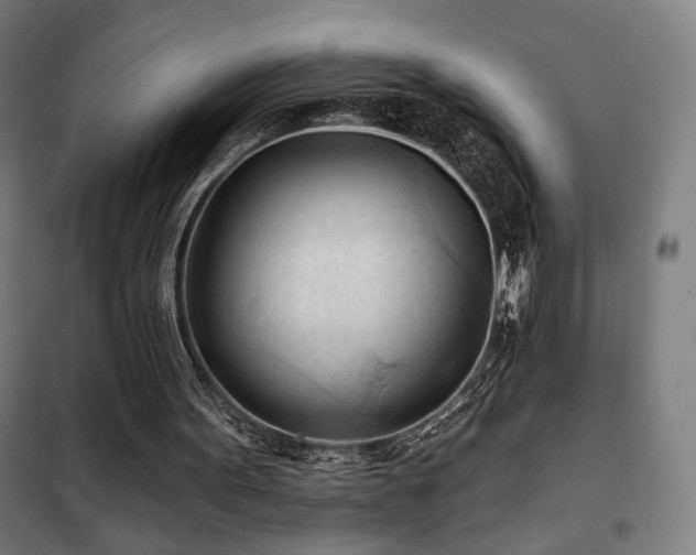X0000102280099200807251408