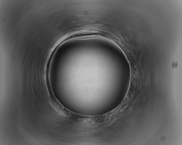 X0000102280100200807251408