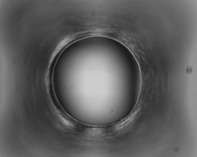 X0000102280102200807251407