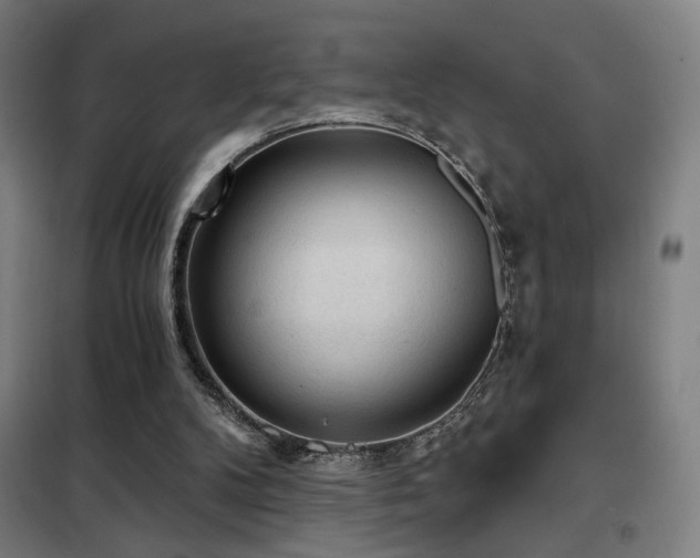 X0000102280104200807251407