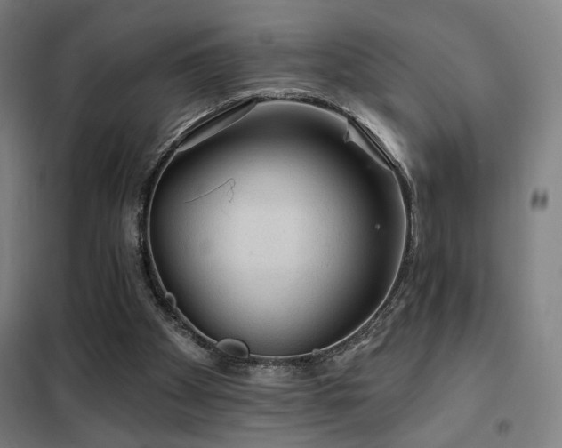 X0000102280105200807251407