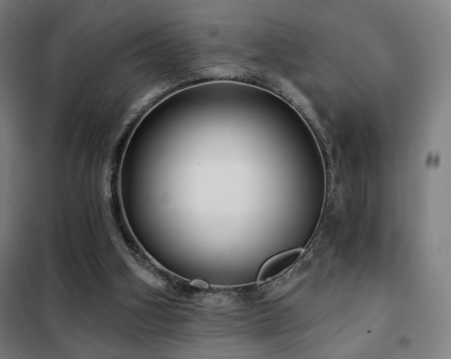 X0000102280106200807251407
