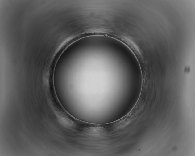 X0000102280108200807251407