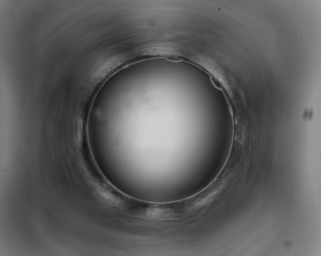 X0000102280109200807251407