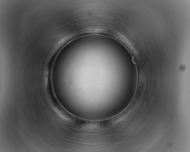 X0000102280110200807251407