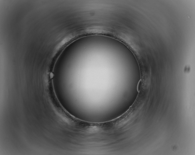 X0000102280111200807251407