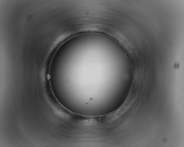 X0000102280112200807251407