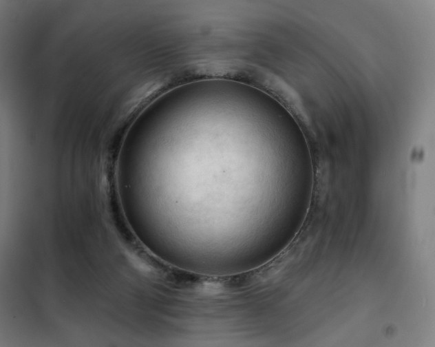 X0000102280114200807251407