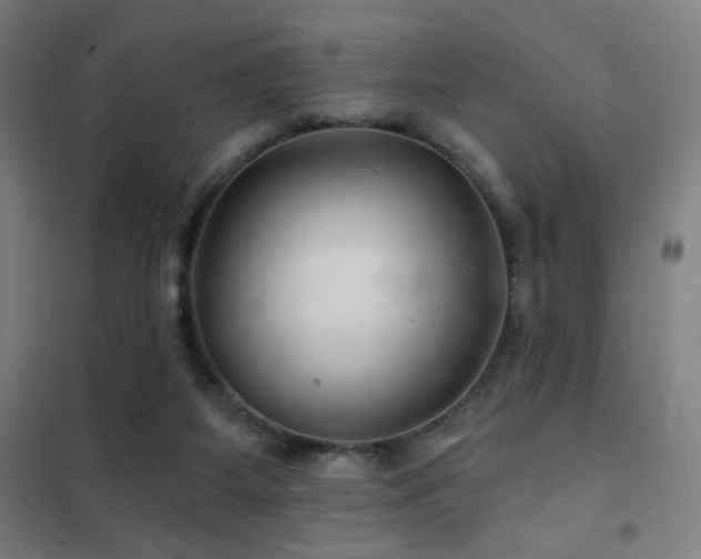 X0000102280115200807251407