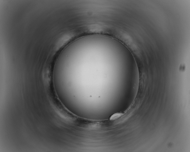 X0000102280116200807251407