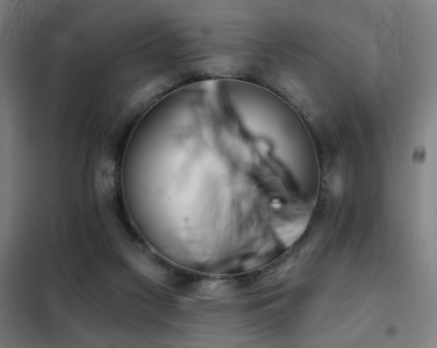 X0000102280117200807251407