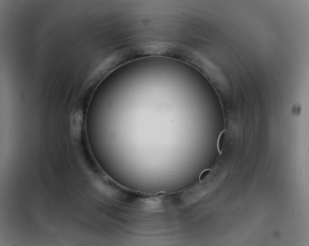 X0000102280118200807251407