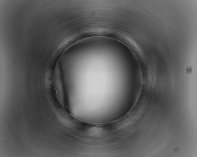 X0000102280119200807251407